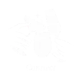 icon icon